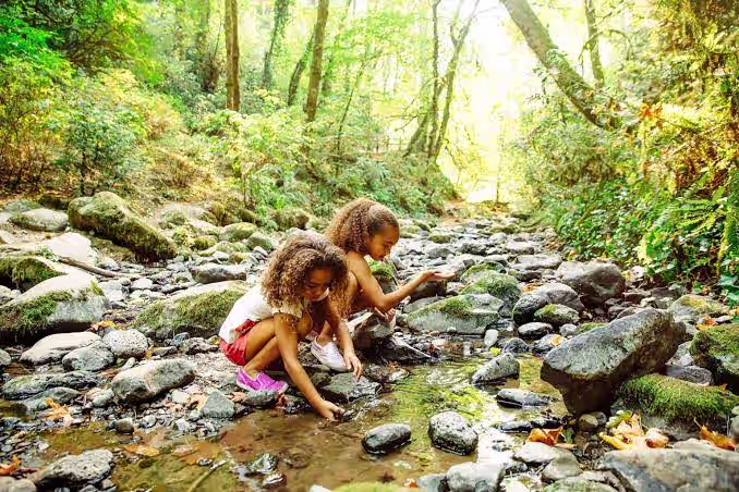 Children's Nature Passport